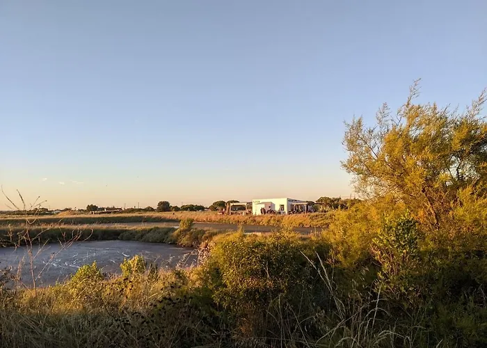 Maison Hakuna Matata A 500m De L'ocean Avec Jardin Ferienhaus
